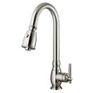 Stainless Steel Pull-Out Spray Kitchen Faucet