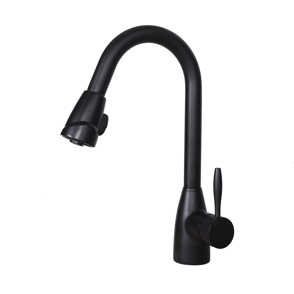 Graham Matte Black Pull-Down Spray Kitchen Faucet