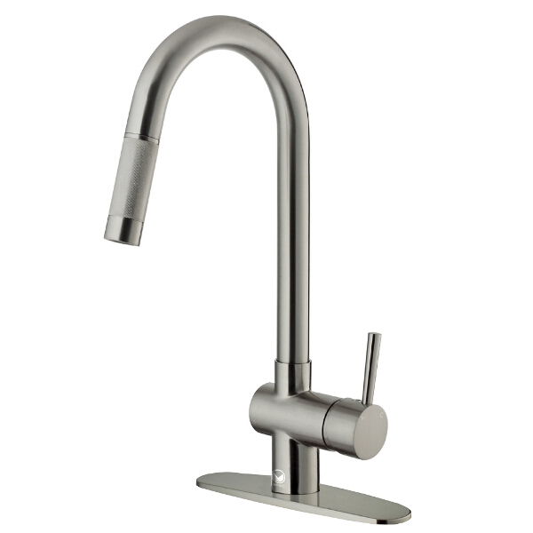 Stainless Steel Pull-Down Kitchen Faucet with Deck Plate