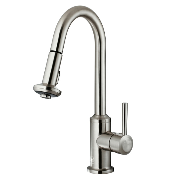 Astor Stainless Steel Pull-Down Spray Kitchen Faucet